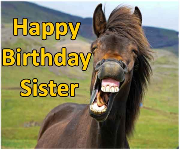 25 Funny Birthday Wishes For Sister - HAPPY DAYS