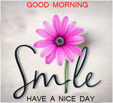 Good-morning-flower-with-smile
