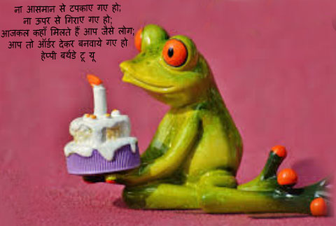 Funny-Birthday-Wishes-for-friend-in-Hindi