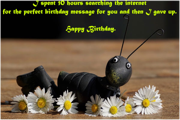 Hilarious-Funny-Birthday-Quotes-with-Images-pictures-for-Brother-download
