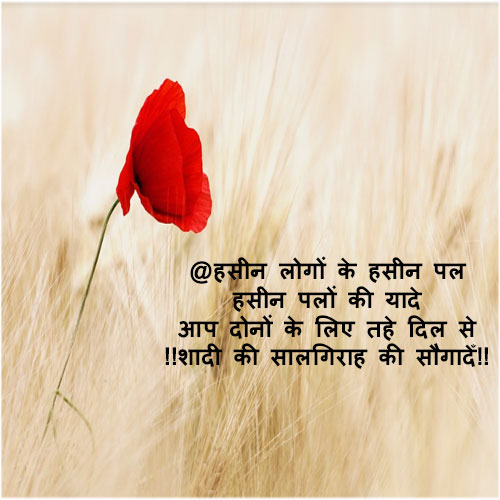 Marriage anniversary wishes in hindi Shayari for a couple