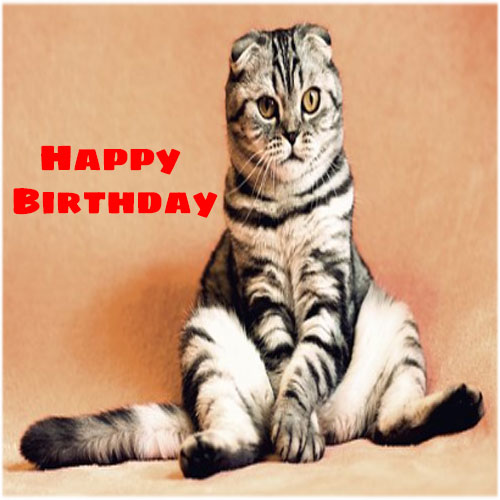 Funny happy birthday images for her free hd download