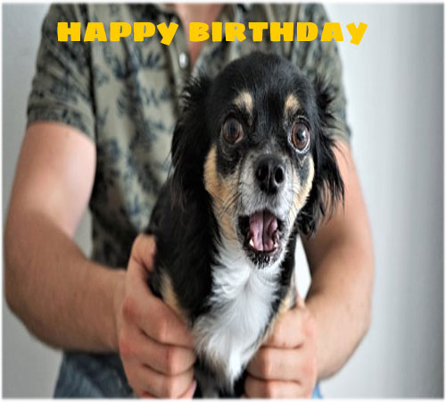 Funny happy birthday images pics for friend free hd download