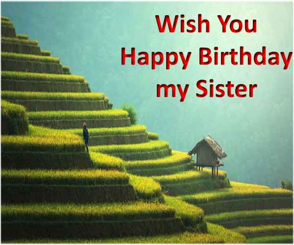 Birthday Quotes For Elder Sister