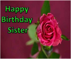 25 Best Birthday Wishes For Cousin Sister - HAPPY DAYS