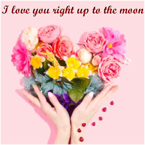 I Love You Quotes for Her